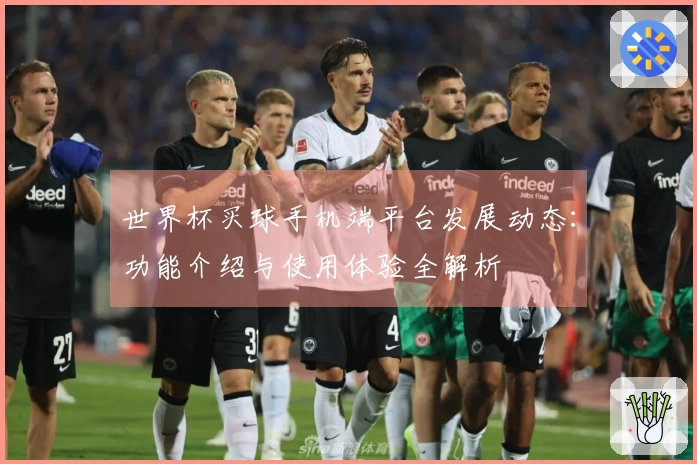 世界杯买球手机端平台发展动态：功能介绍与使用体验全解析