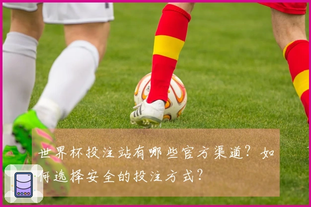 世界杯投注站有哪些官方渠道?如何选择安全的投注方式?