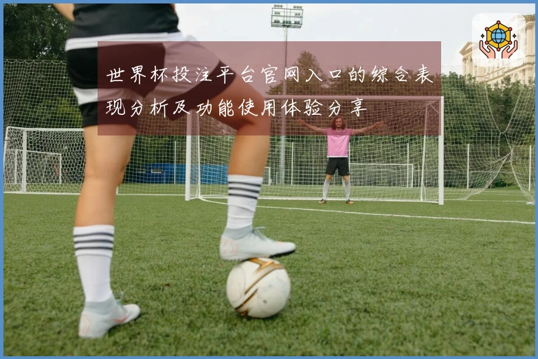 世界杯投注平台官网入口的综合表现分析及功能使用体验分享