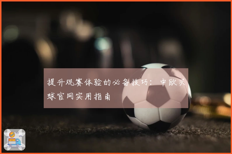 提升观赛体验的必备技巧：中欧买球官网实用指南