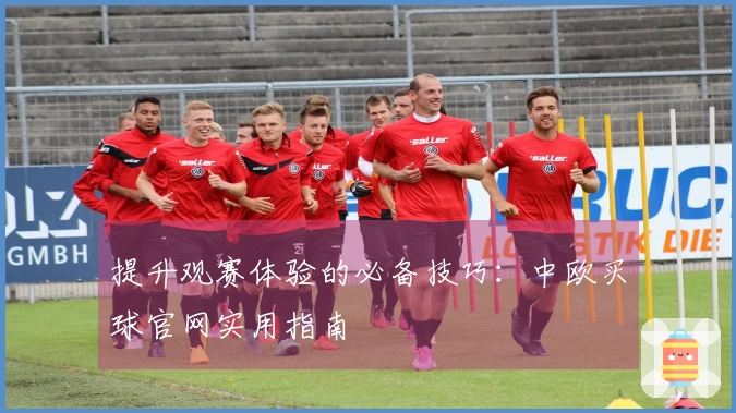 提升观赛体验的必备技巧：中欧买球官网实用指南