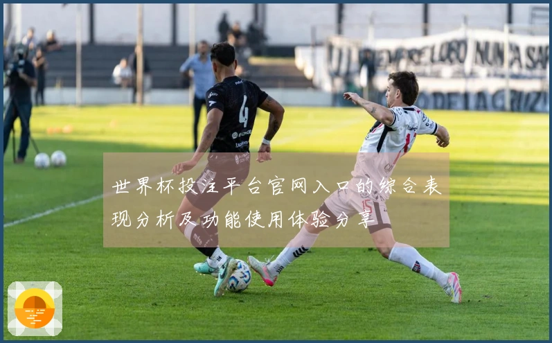 世界杯投注平台官网入口的综合表现分析及功能使用体验分享