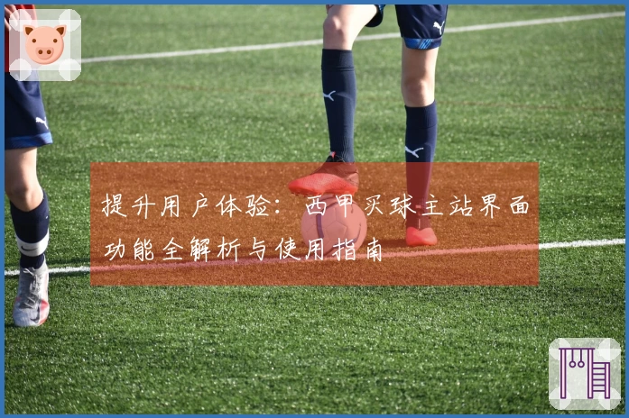 提升用户体验：西甲买球主站界面功能全解析与使用指南