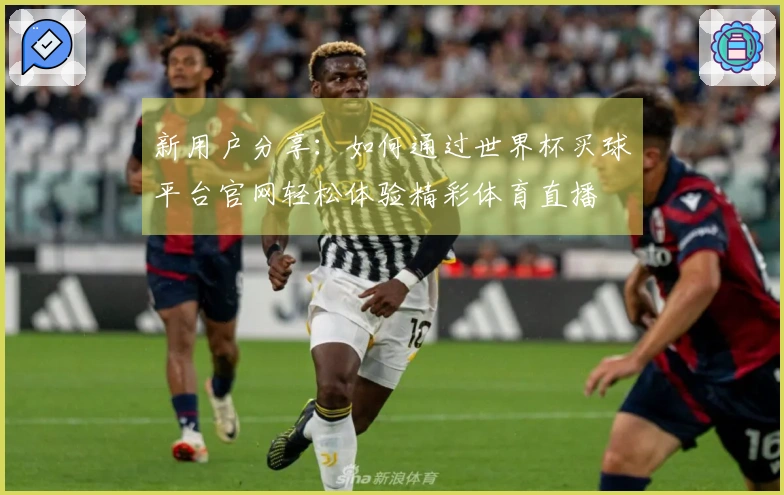 新用户分享：如何通过世界杯买球平台官网轻松体验精彩体育直播