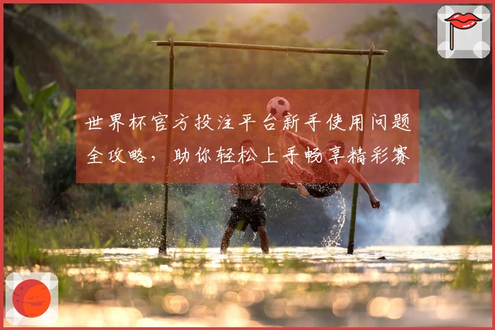 世界杯官方投注平台新手使用问题全攻略，助你轻松上手畅享精彩赛事