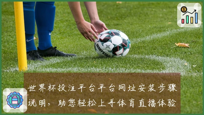 世界杯投注平台平台网址安装步骤说明，助您轻松上手体育直播体验
